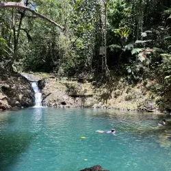 Colo-i-Suva Forest Park - Lami