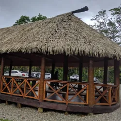 Colo-i-Suva Forest Park - Lami