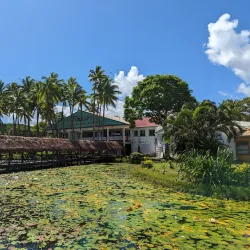 Fiji Arts Village - Lami