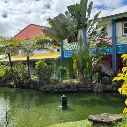 Fiji Arts Village - Lami