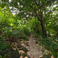 Queens Road Coastal Walk - Lami