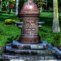 Thurston Gardens - Lami