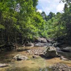 Koroyanitu National Heritage Park - Lautoka