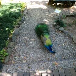 Kula Eco Park - Lautoka