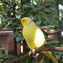 Kula Eco Park - Lautoka