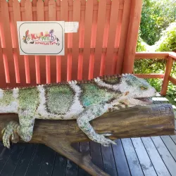 Kula Eco Park - Lautoka