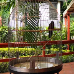 Kula Eco Park - Lautoka