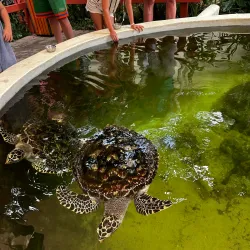 Kula Eco Park - Lautoka