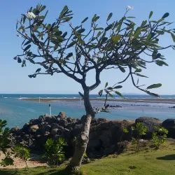 Vuda Point Marina - Lautoka
