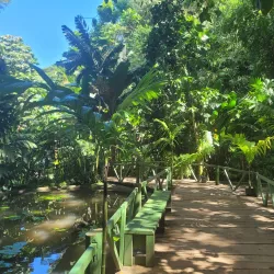 Garden of the Sleeping Giant - Nadi
