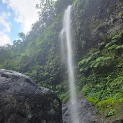 Koroyanitu National Heritage Park - Nasinu