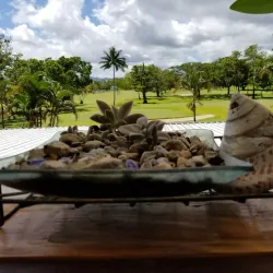 Nasinu Golf Course - Nasinu