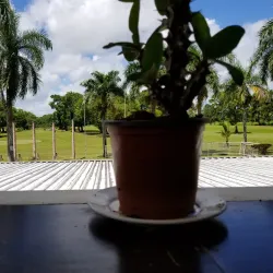 Nasinu Golf Course - Nasinu