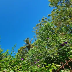 Nasinu Golf Course - Nasinu