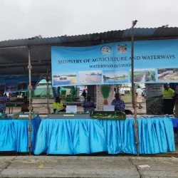 Nasinu Market - Nasinu