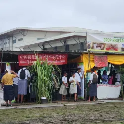Nasinu Market - Nasinu