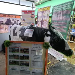 Nasinu Market - Nasinu