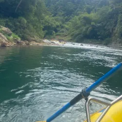 Pacific Harbour Adventure Park - Nasinu