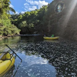 Pacific Harbour Adventure Park - Nasinu