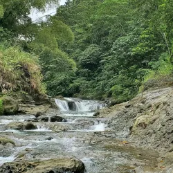 Pacific Harbour Adventure Park - Nasinu