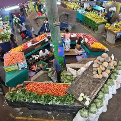 Suva Municipal Market - Nasinu