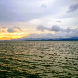 Thurston Gardens - Nasinu