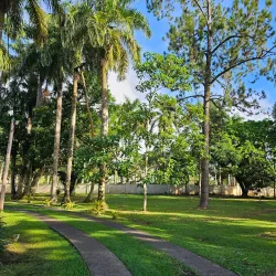Thurston Gardens - Nasinu