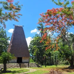 Fijian Village Cultural Tours - Navua
