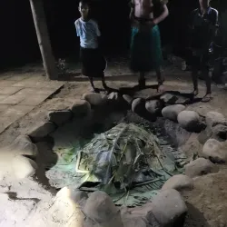 Fijian Village Cultural Tours - Navua