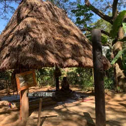 Fijian Village Cultural Tours - Navua