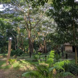 Fijian Village Cultural Tours - Navua