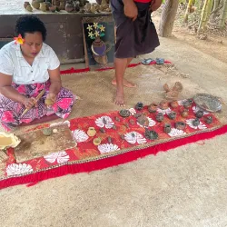 Fijian Village Cultural Tours - Navua