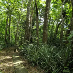 Koroyanitu National Heritage Park - Navua