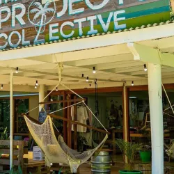 Local Art and Craft Shops - Navua