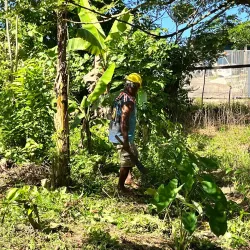 Viti Levu Island Beaches - Navua