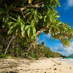 Viti Levu Island Beaches - Navua