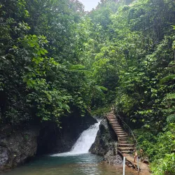 Wailoku River - Navua