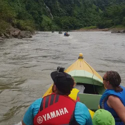 Wailoku River - Navua