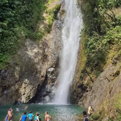 Wailoku River - Navua