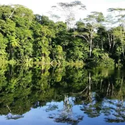 Colo-i-Suva Forest Park - Suva