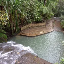 Colo-i-Suva Forest Park - Suva