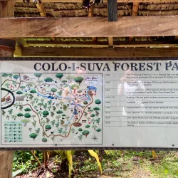 Colo-i-Suva Forest Park - Suva
