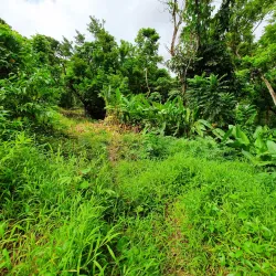 Fiji National University (FNU) Art Gallery - Suva