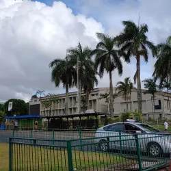 Fiji National University (FNU) Art Gallery - Suva
