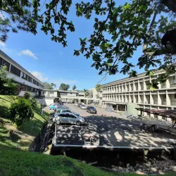 Fiji National University (FNU) Art Gallery - Suva