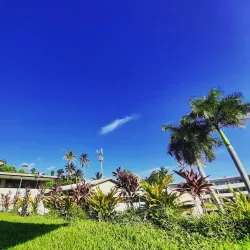 Fiji National University (FNU) Art Gallery - Suva