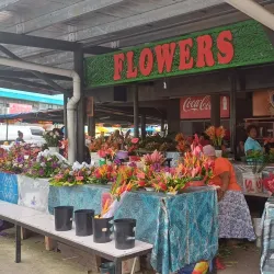 Suva Municipal Market - Suva
