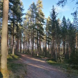 Kapeenkoski Rapids - Aanekoski