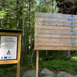 Kapeenkoski Rapids - Aanekoski