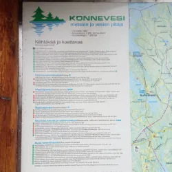 Kivisalmi Bridge - Aanekoski